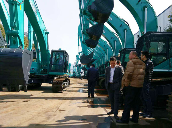 快来看，，，快来看，，，这里有一群绿精灵