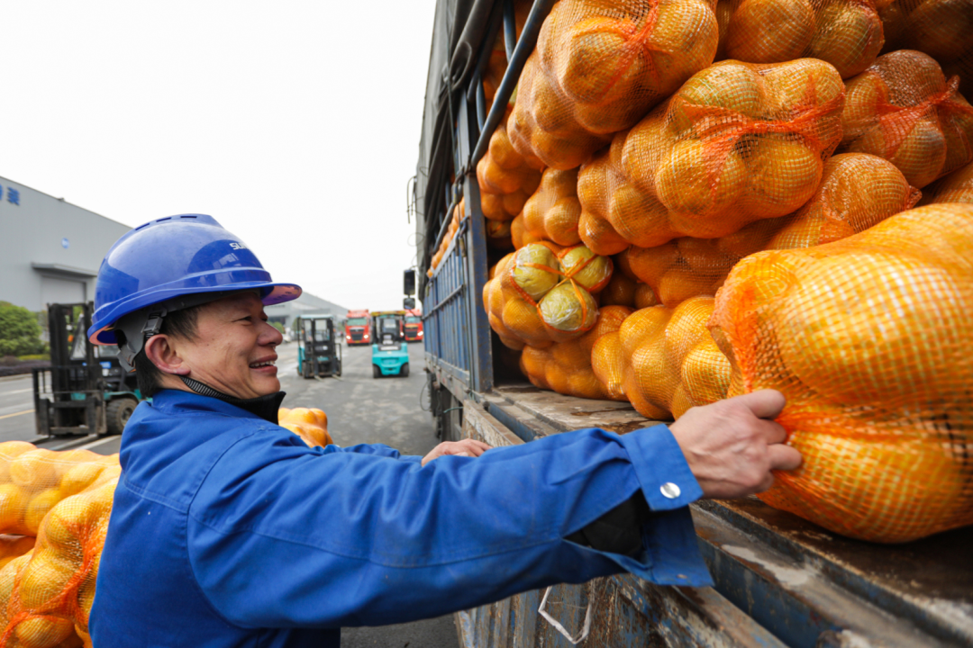 点赞！优德88智能乐成入选“上市公司墟落振兴优异实践案例”