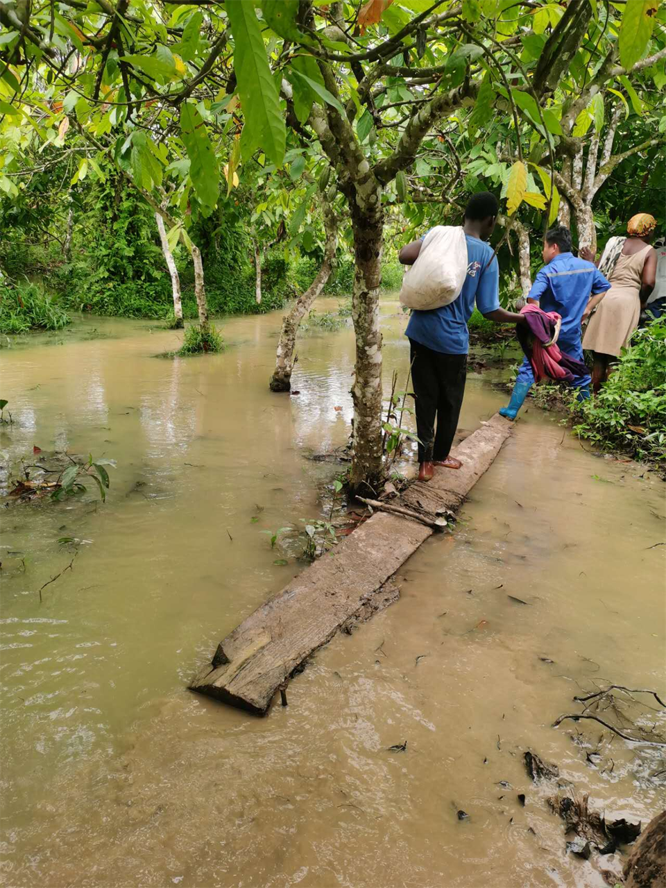 品质优德88，，，，，专心折务！优德88智能服务万里行活动走进非洲加纳